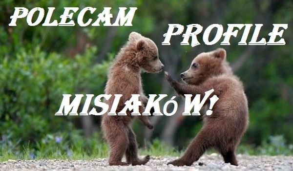 Oceniam i polecam profil – @mint.dreamer_