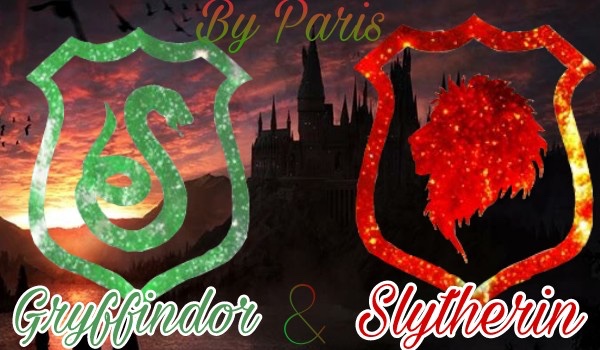 Gryffindor&Slytherin by Paris
