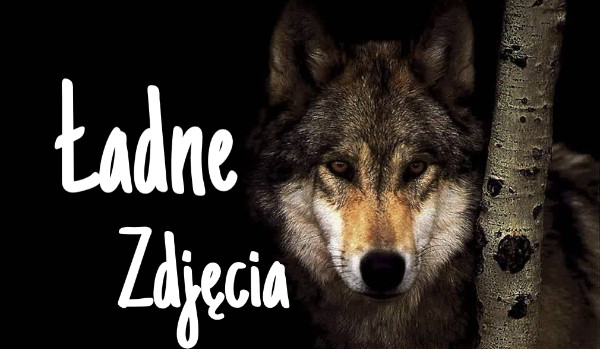 Ładne zdjęcia #6