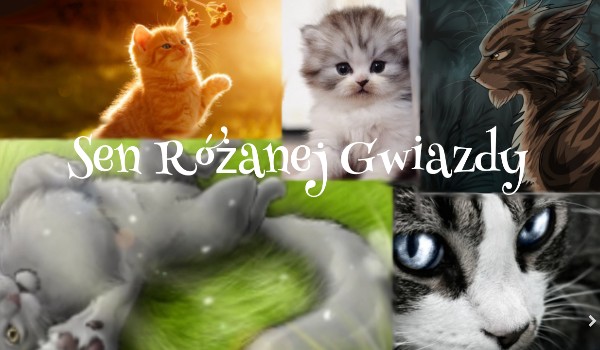 Sen Różanej Gwiazdy Cz.3