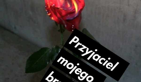 Przyjaciel mojego brata #3