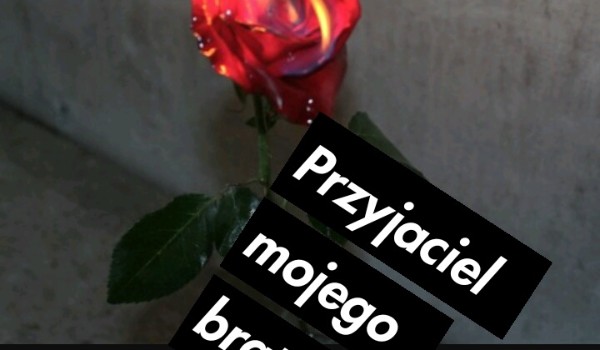 Przyjaciel mojego brata #5 KONIEC