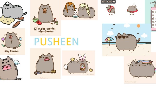 jakim pusheenem jesteś