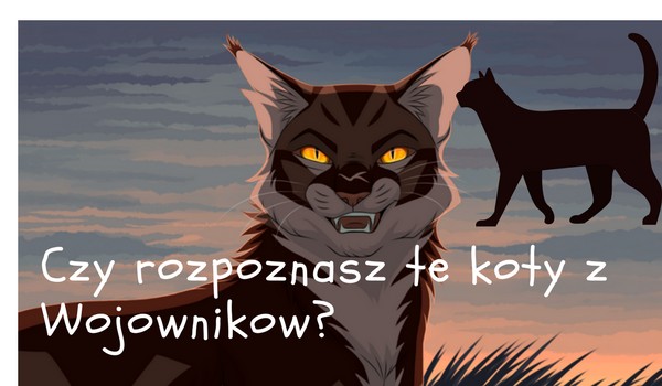 Czy rozpoznasz te koty z Wojowników?