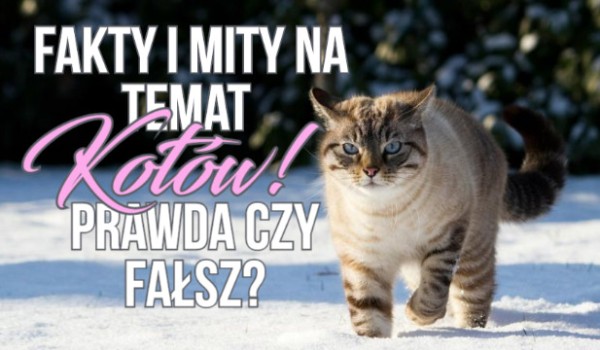Fakty i mity na temat kotów! Prawda czy fałsz? #2