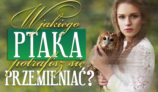 W jakiego ptaka potrafisz się przemieniać?