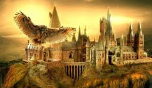 Wirtualny Hogwart ~przedstawienie postaci