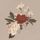 MendesArmy_4_ever