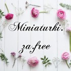 Miniaturki.za.free