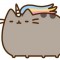 pusheen1233