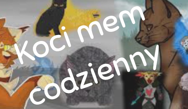 Koci mem codzienny #20