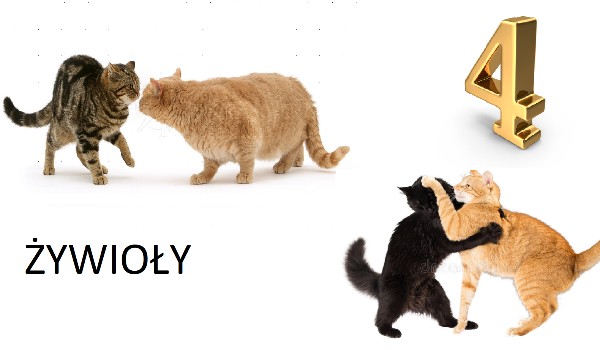 Cztery żywioły ~ Rozdział 1