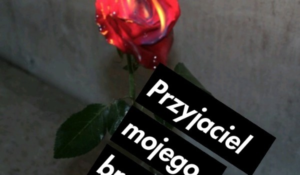 Przyjaciel mojego brata #1