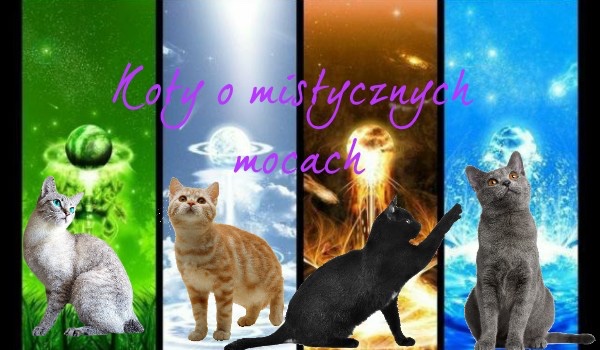 Koty o mistycznych mocach ~postacie~
