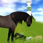 StarStable_Quizy
