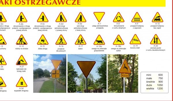 jakim jesteś rzywiołem