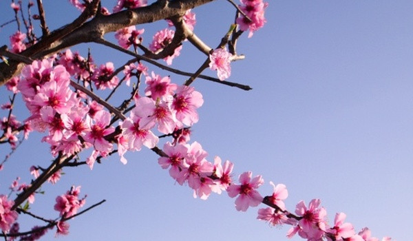 Historia mojej OC #3