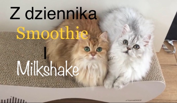 Z dziennika Smoothie & Milkshake #4