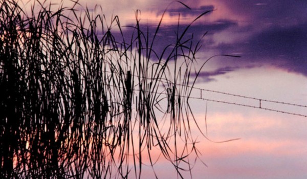 tapety na telefon *2