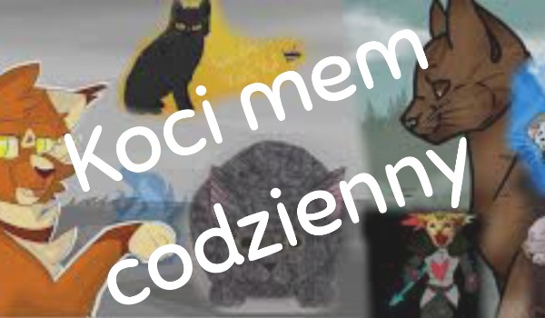 Koci mem codzienny #17