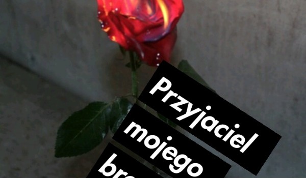 Przyjaciel mojego brata #4