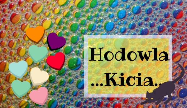 Hodowla …Kicia…