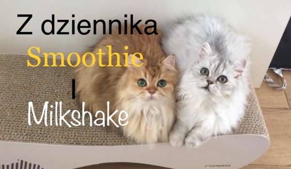 Z dziennika Smoothie i Milkshake #2