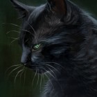 HollyLeaf