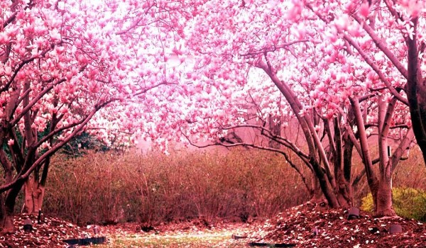 twoja przygoda jako raperka #1