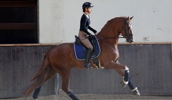 Czy uda Ci się wygrać mistrzostwa?