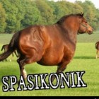 spasikonik
