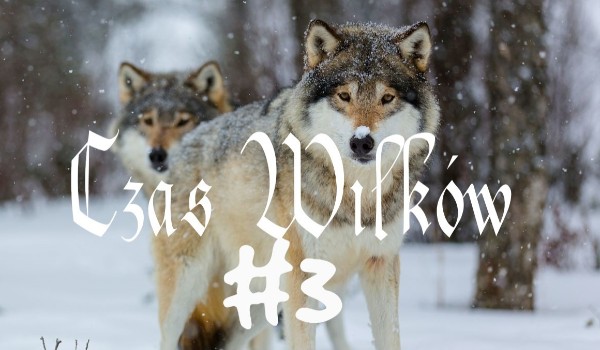 Czas Wilków #3