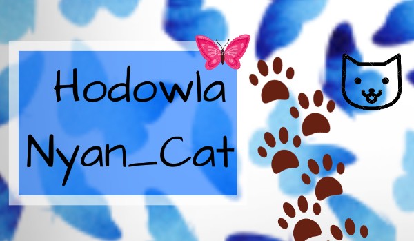 Hodowla Nyan_Cat