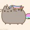 pusheencat96