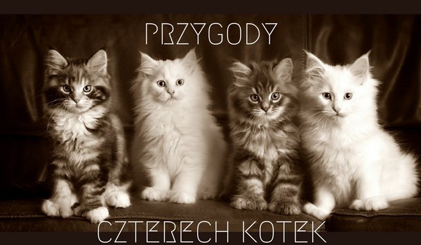 Przygody czterech kotek #7