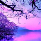 MagicAndLove