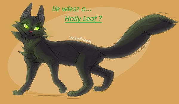 Ile wiesz o… Holly Leaf ?