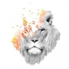Diereni