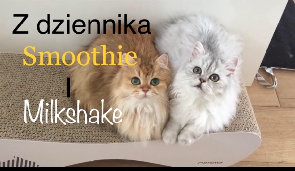 Z dziennika Smoothie i Milkshake #1