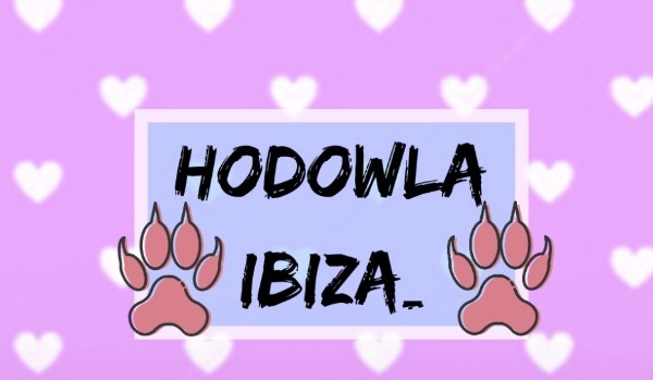 Hodowla Ibiza_