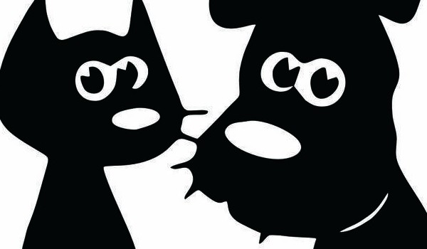 czy będziesz bogaty? piotr sateja