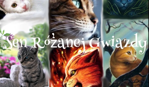 Sen Różanej Gwiazdy Cz. 2