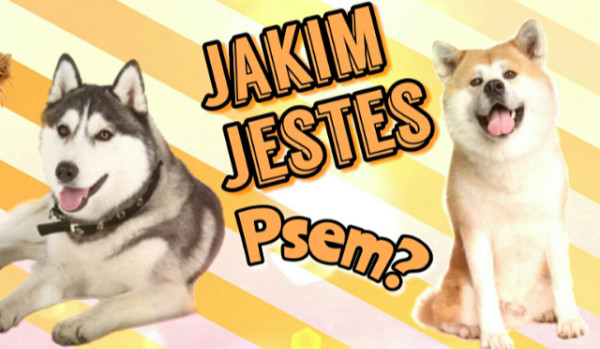 jakim jesteś psem?