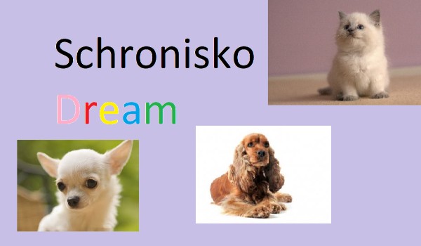Schronisko Dream #2