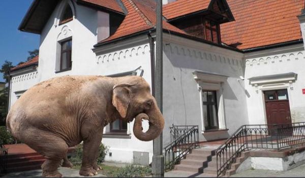 Czemu aż tak nasrali?????????