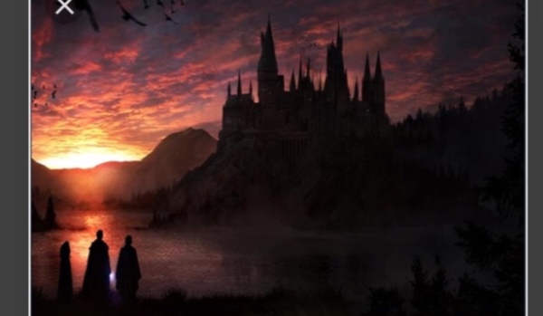 Twoja przygoda w Hogwarcie #2