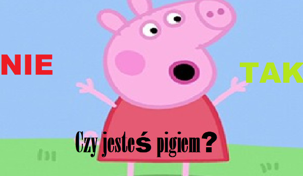 Czy jesteś pigiem?