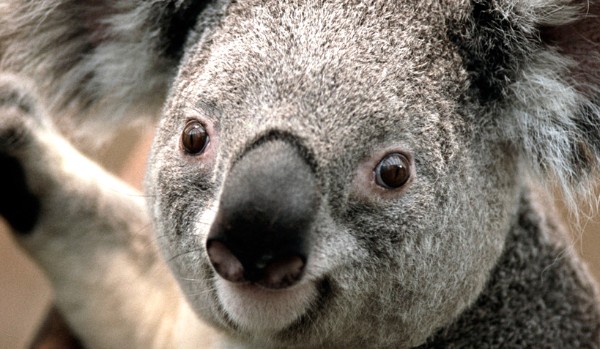 czy jesteś moim przyjacielem