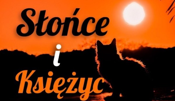 Słońce i księżyc #7