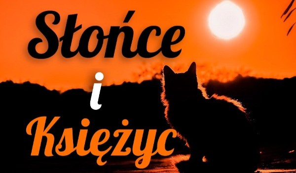 Słońce i księżyc #20